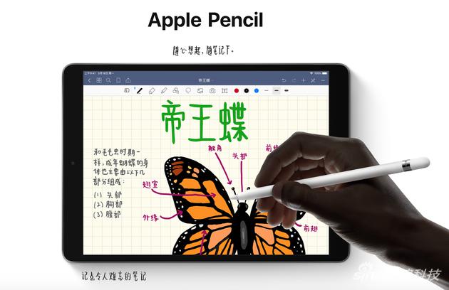 iPad Air可以用手写笔