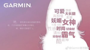 Garminͳ˺ԭ