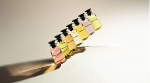 <b>Louis Vuitton ״Իˮƣ²ȫ׶۶Ǯ</b>
