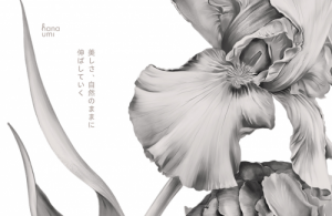 日本天然实效品牌hanaumi花近打造「肌肤的纯净花园」
