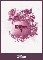 Ȱţ˶ƷWilson