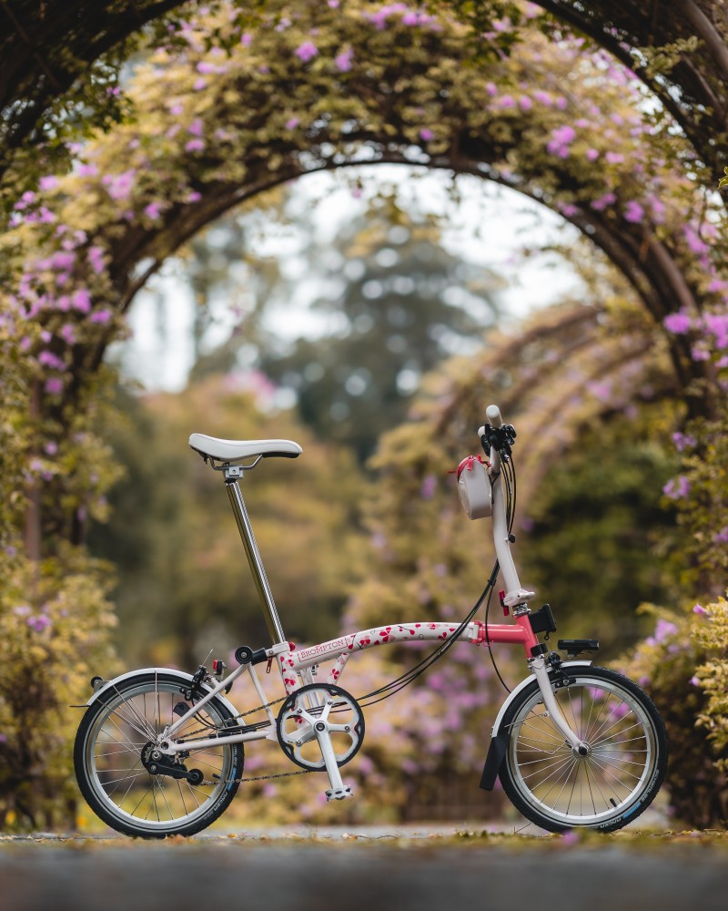 BROMPTON Ƴ̫޶ӣ Ｃ2.jpg