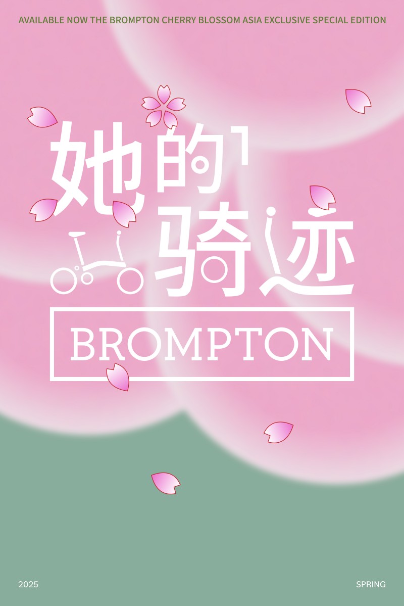 BROMPTON Ƴ̫޶ӣ Ｃ6.jpg