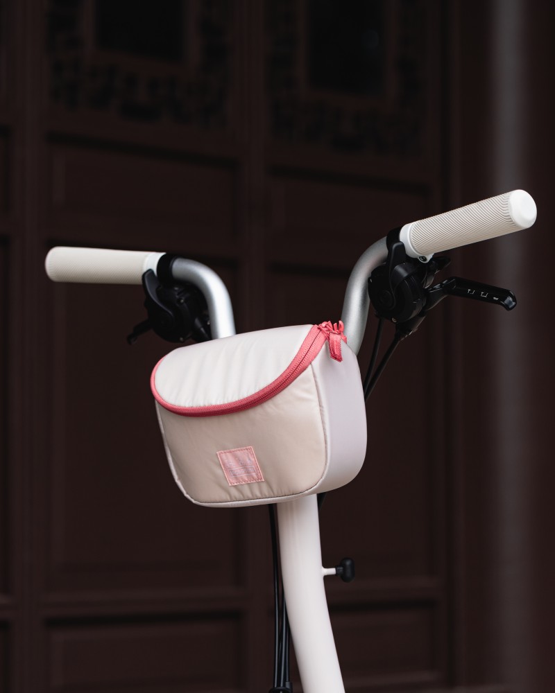 BROMPTON Ƴ̫޶ӣ Ｃ4.jpg